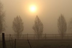 2a64b859-5fc0-4537-870a-ddd5f9ab9378.jpg